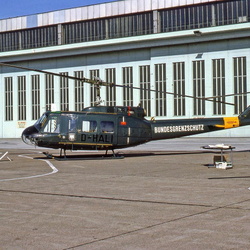 D-HALI